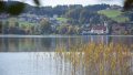 Foto der Immobilie (740)