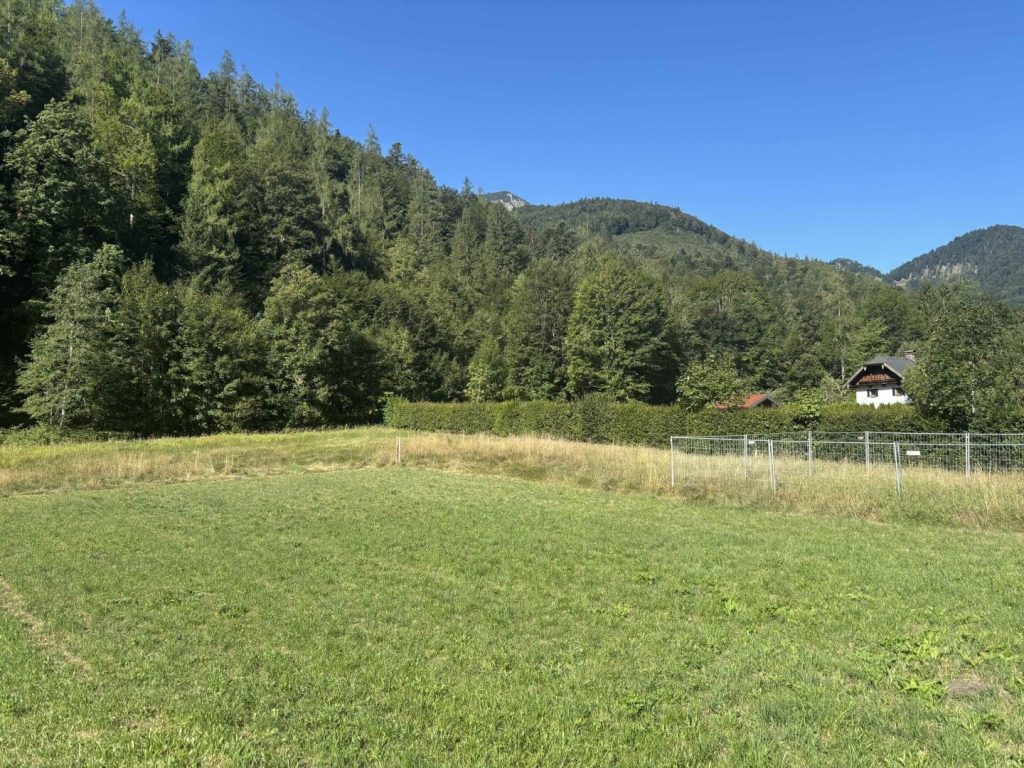 Foto der Immobilie (589)