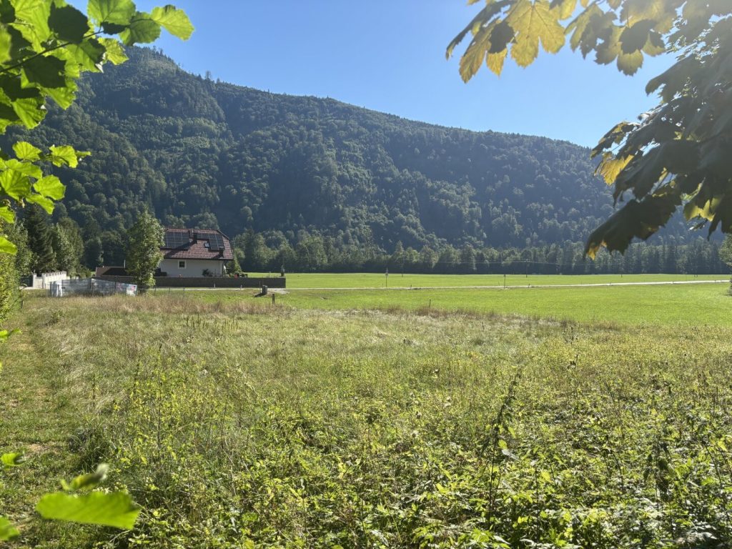 Foto der Immobilie (640)