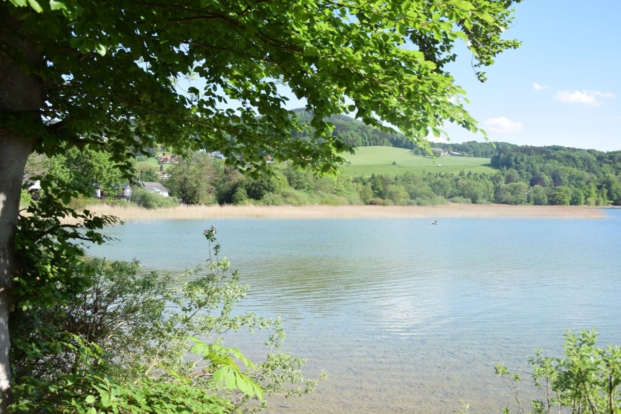 Foto der Immobilie (748)