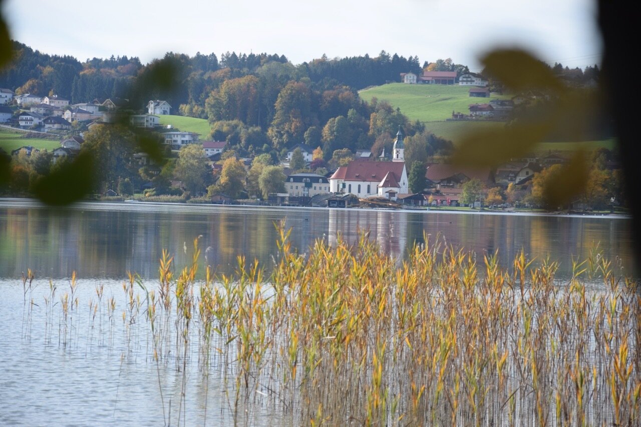 Foto der Immobilie (750)